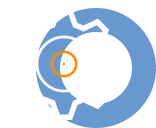 Техническая поддержка и консультации